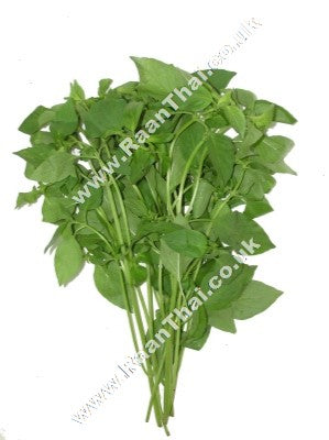 Hairy (Lemon) Basil 100g